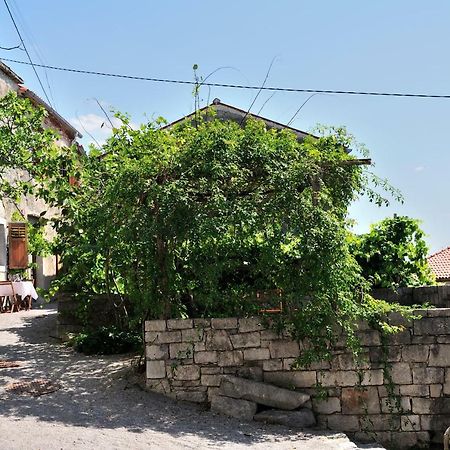 Blackbird House Stanjel Historic Center 외부 사진
